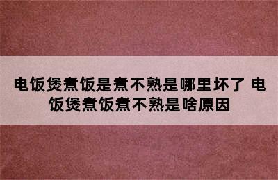 电饭煲煮饭是煮不熟是哪里坏了 电饭煲煮饭煮不熟是啥原因